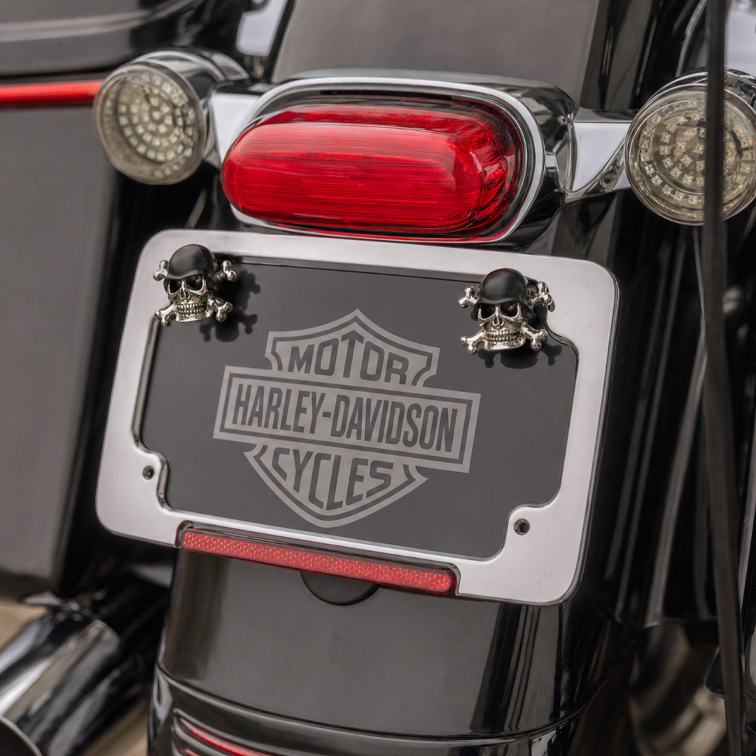 Handcrafted Skull License Plate Bolts for Motorcycles