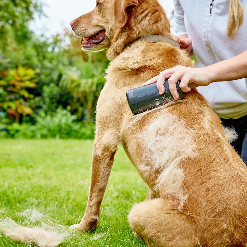 Pet Grooming Comb