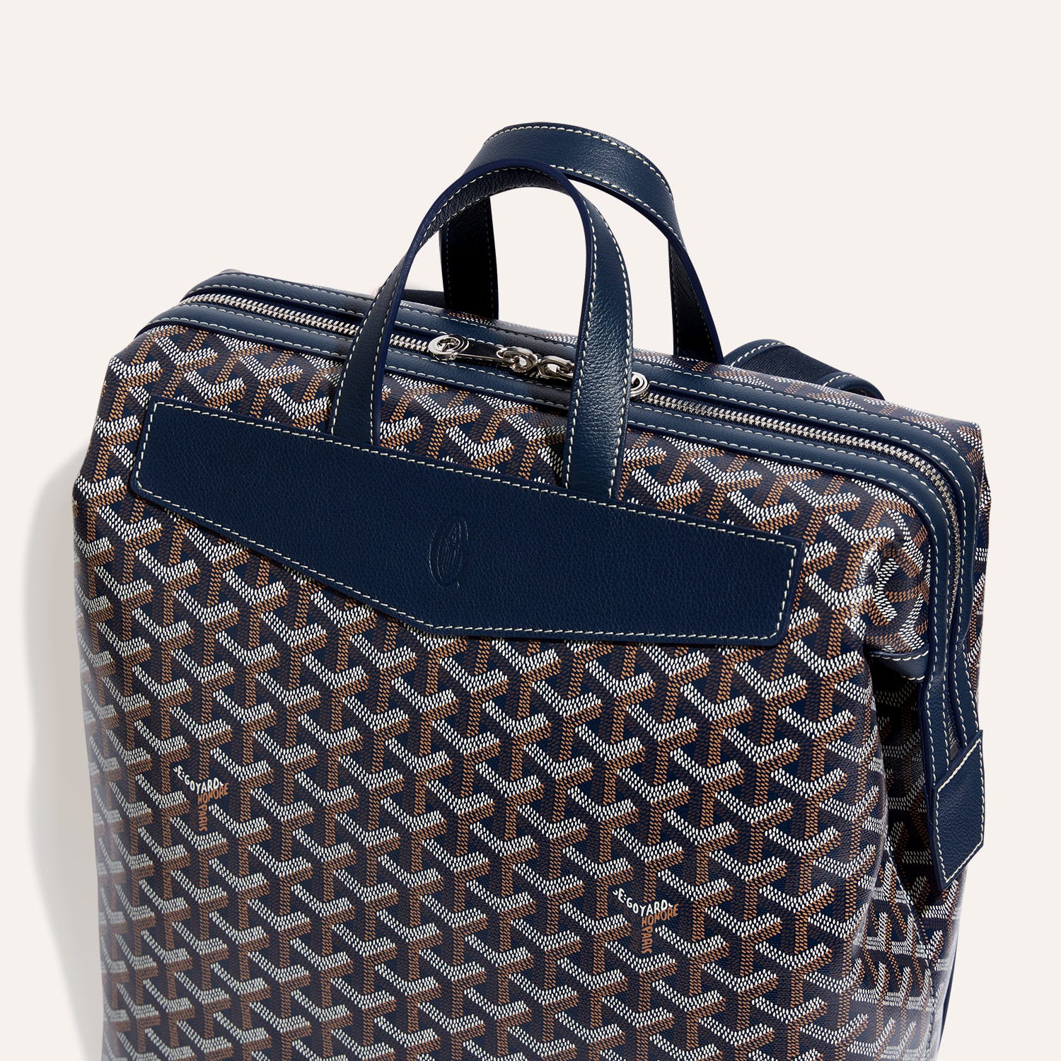 Cisalpin Backpack