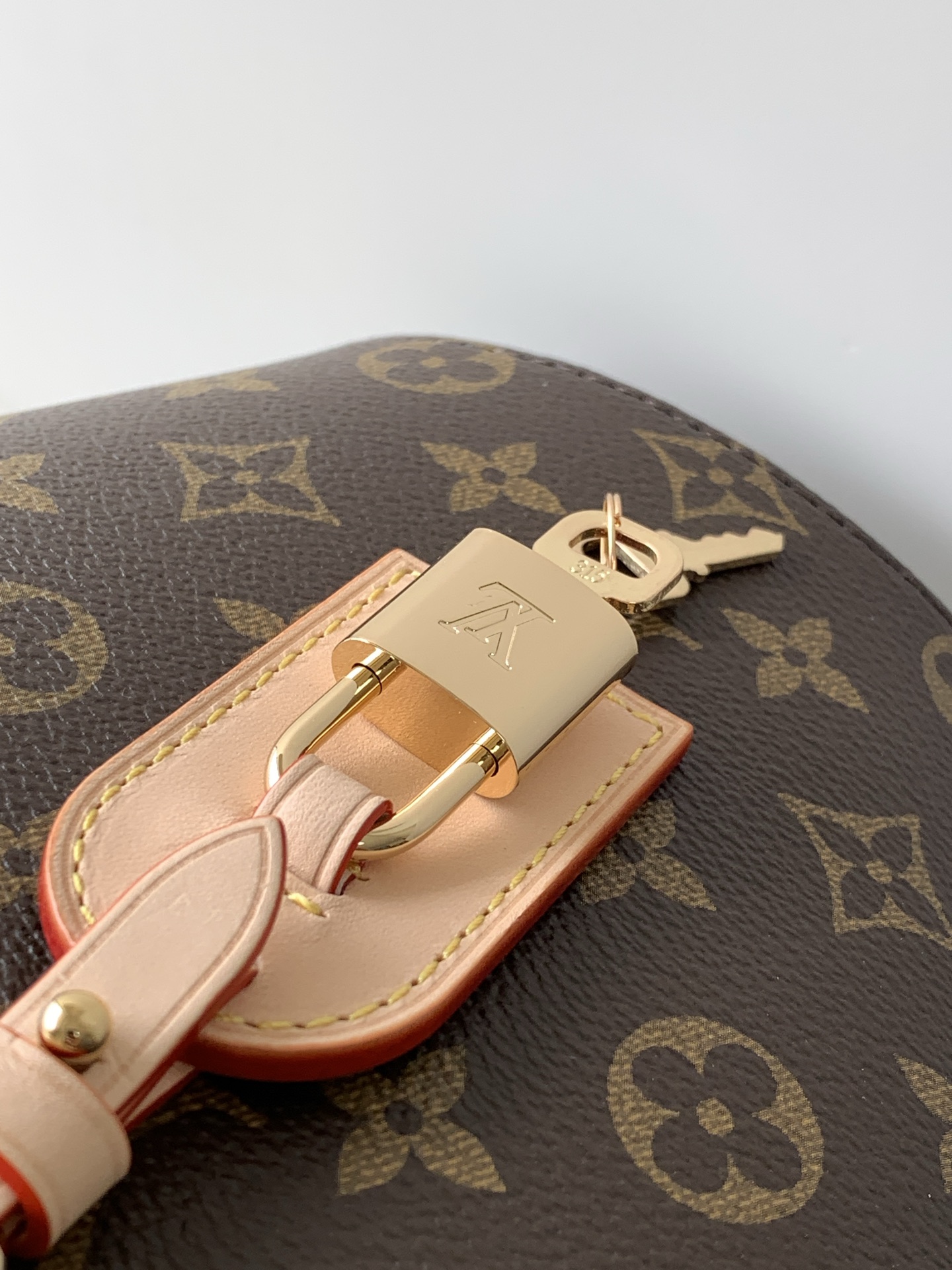 Louis Vuitton Hot New Product-209
