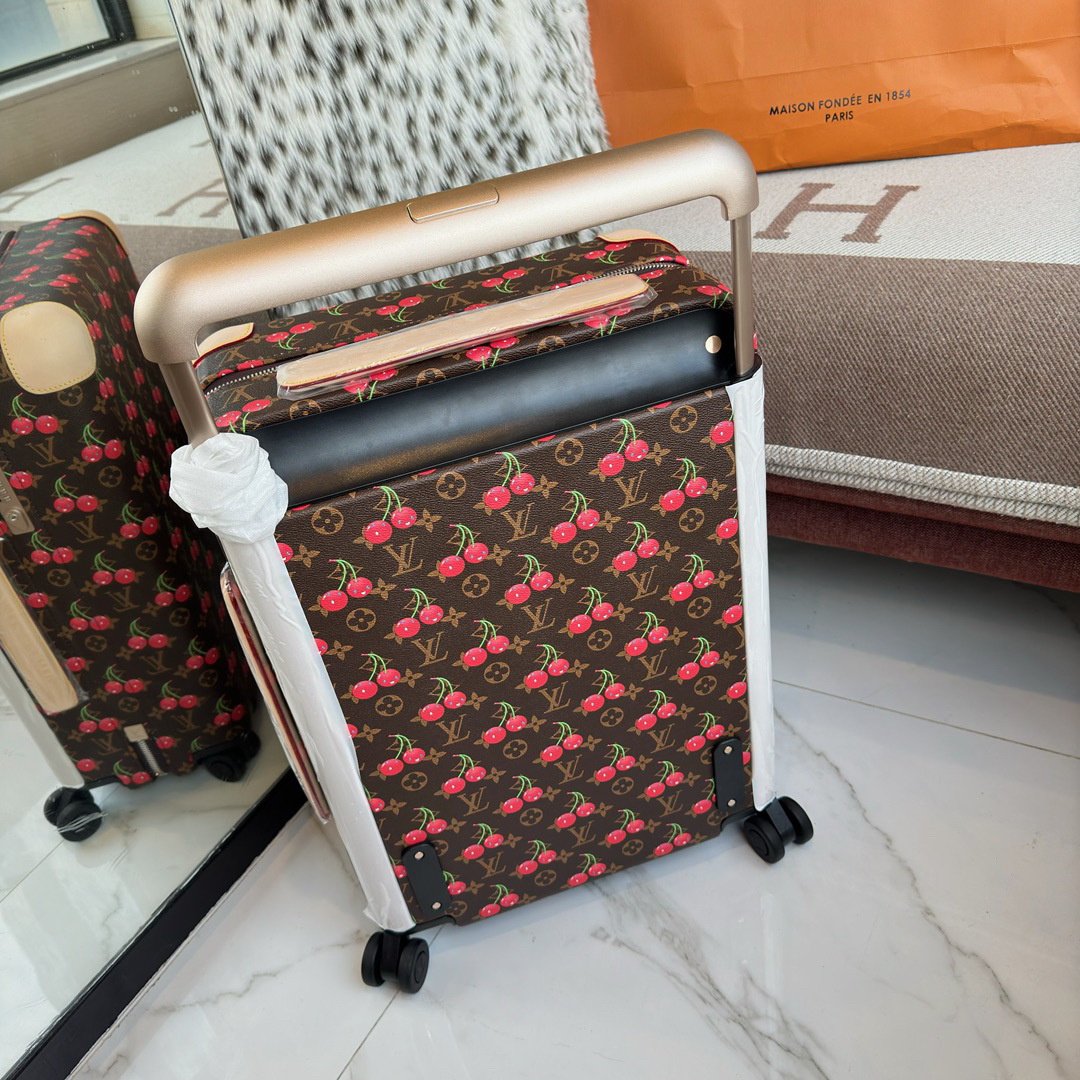 LV luggage-84