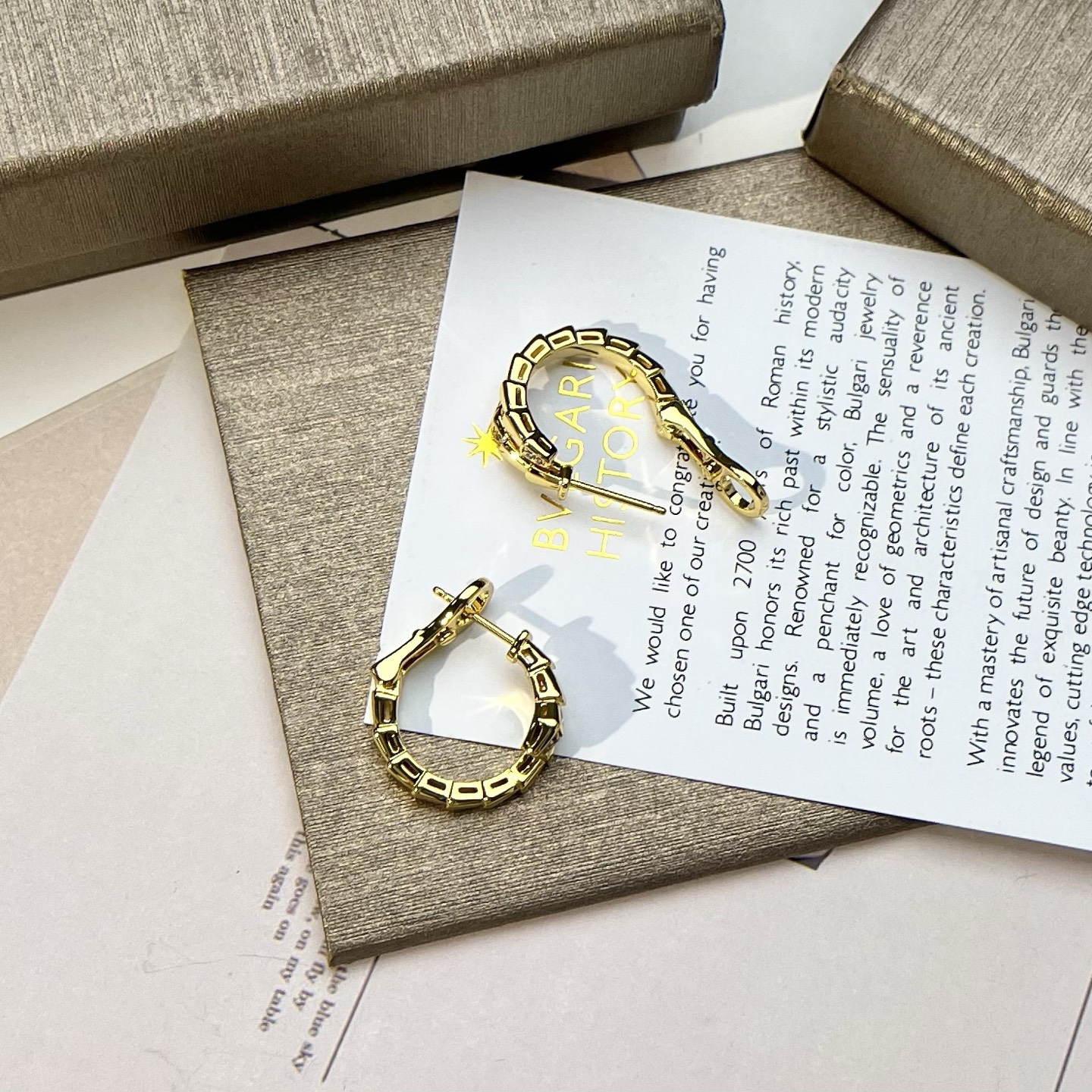 Bottega Veneta earrings-28