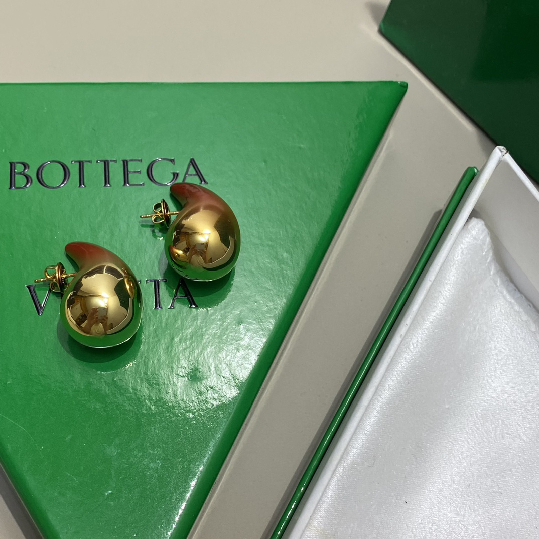Bottega Veneta earrings-15