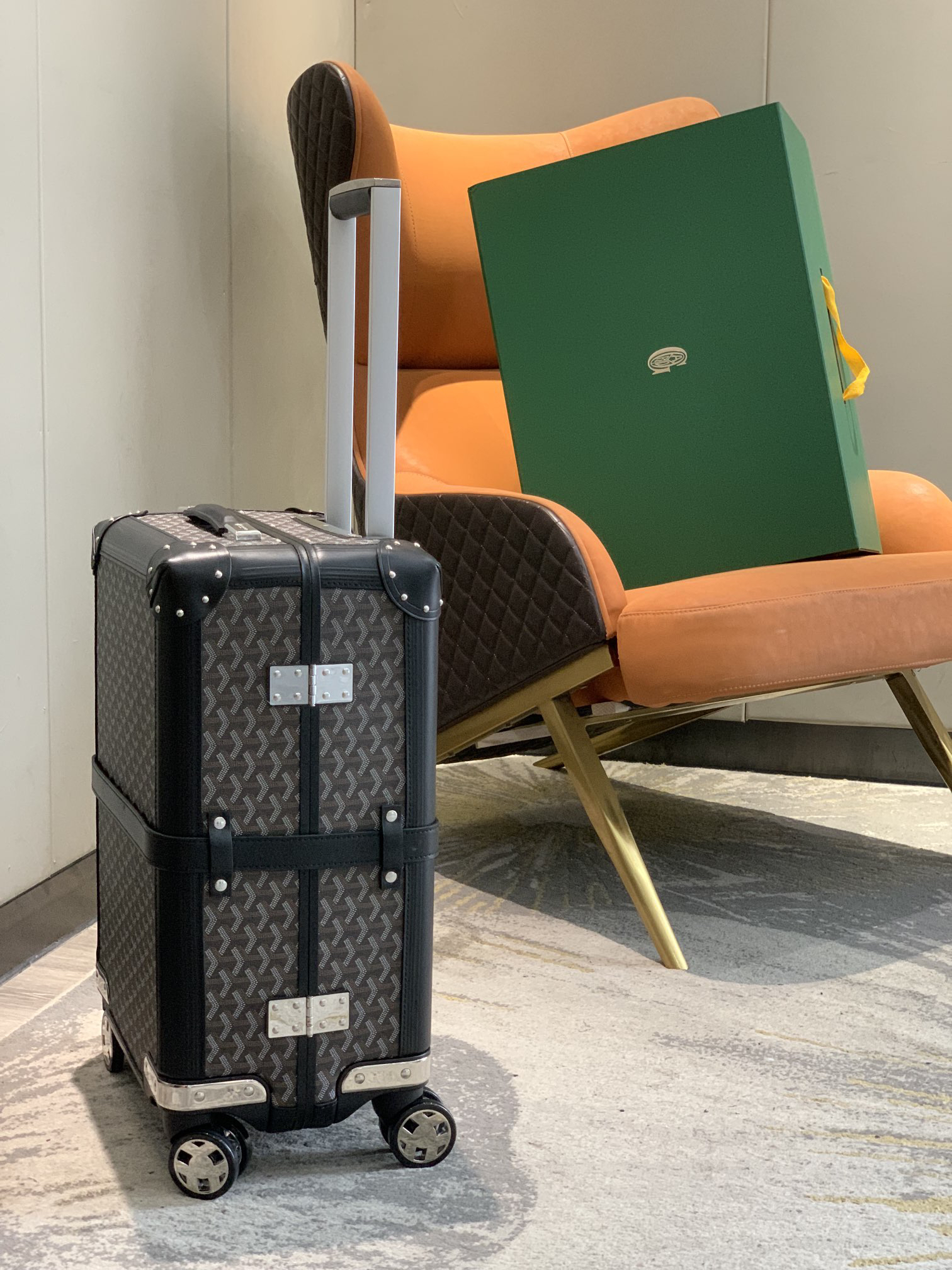 Goyard luggage-6