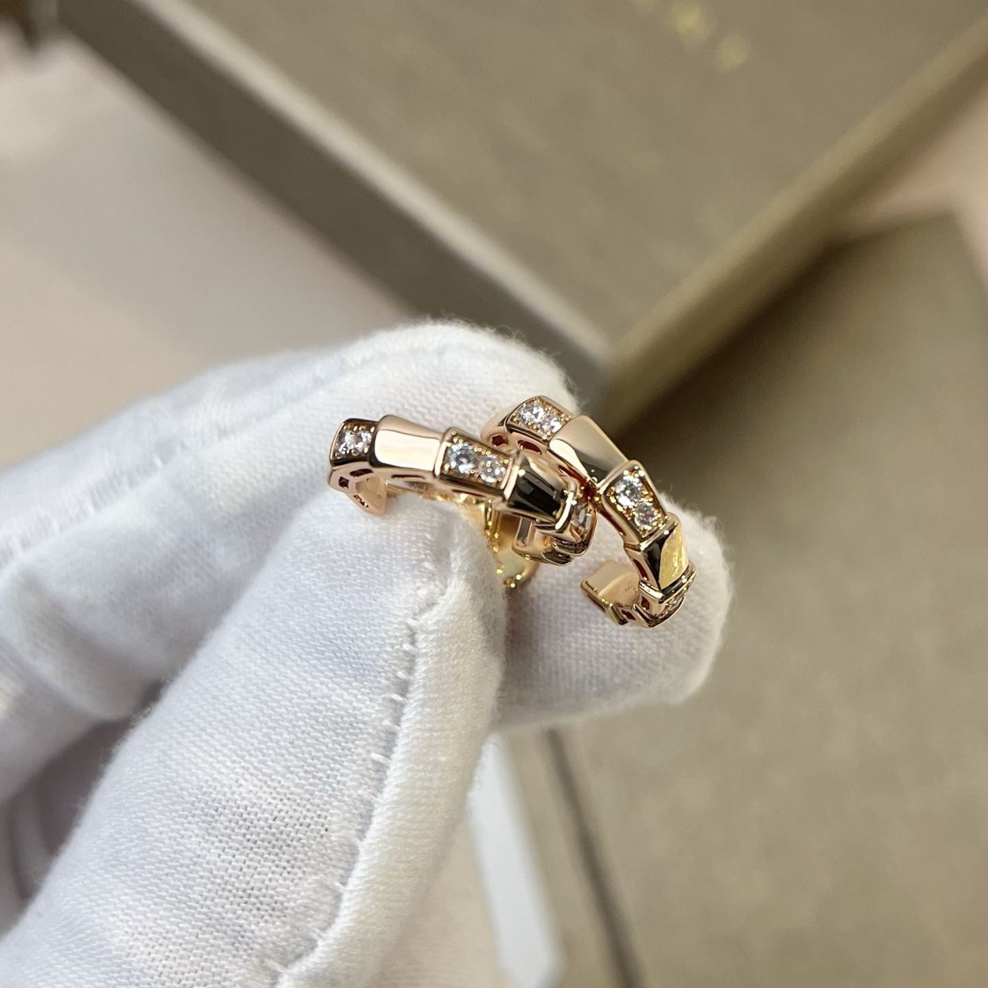 Bottega Veneta earrings-45