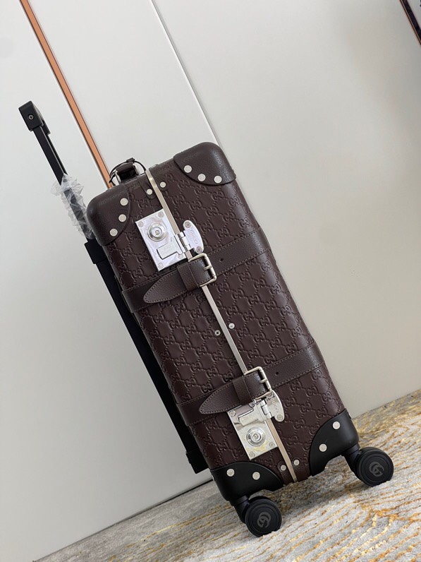 Gucci luggage-9