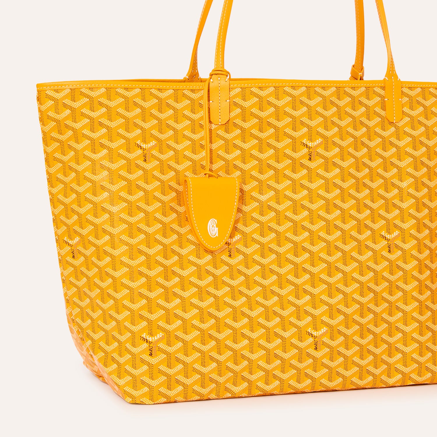 Saint Louis GM Bag