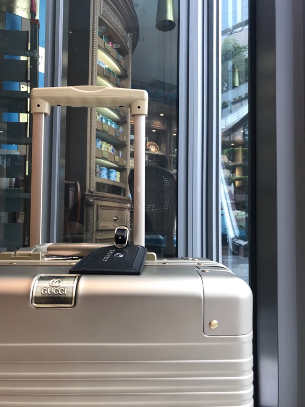 Gucci luggage-16