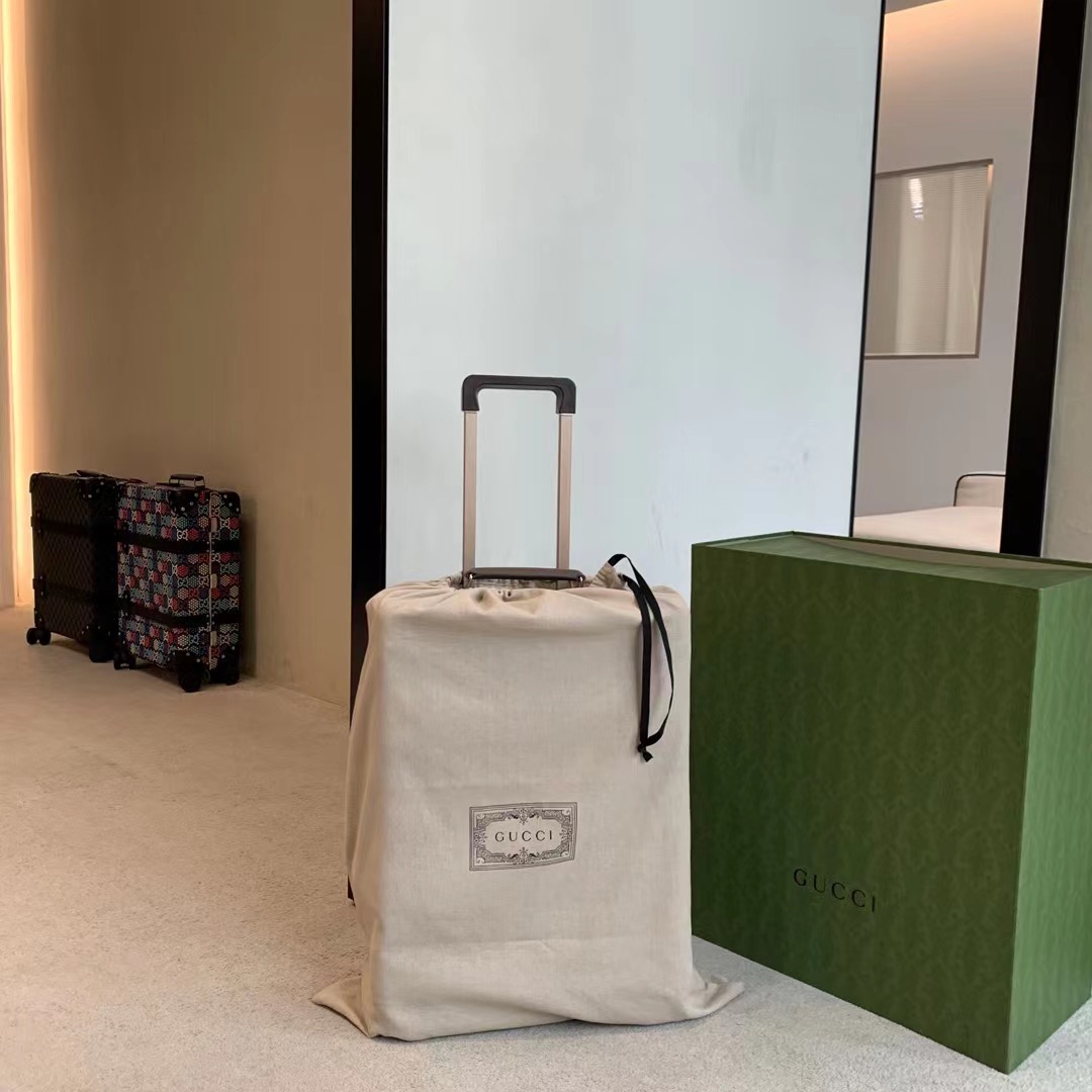 Gucci luggage-41