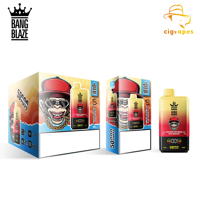 BangBlaze 50000 Puffs 50k Disposable Vape 10 Stück Puff Da Fumare