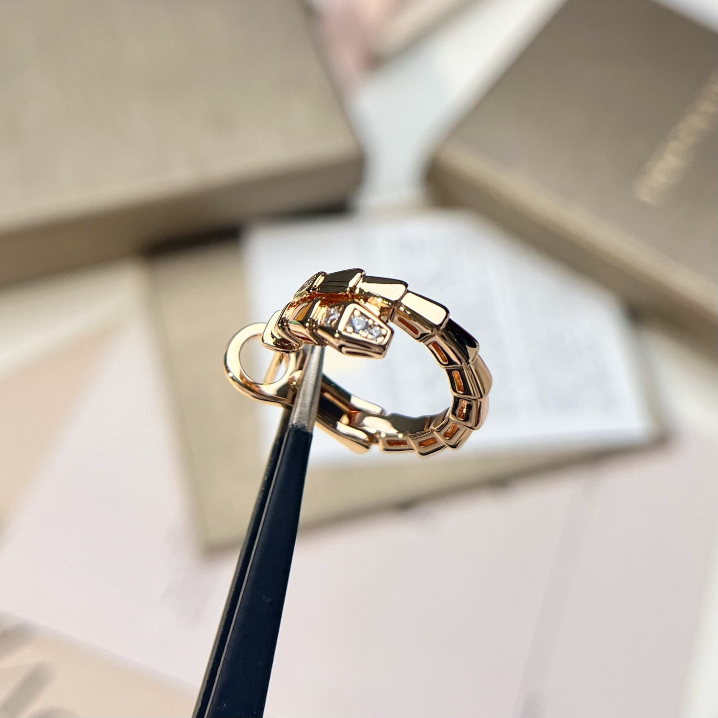 Bottega Veneta earrings-27