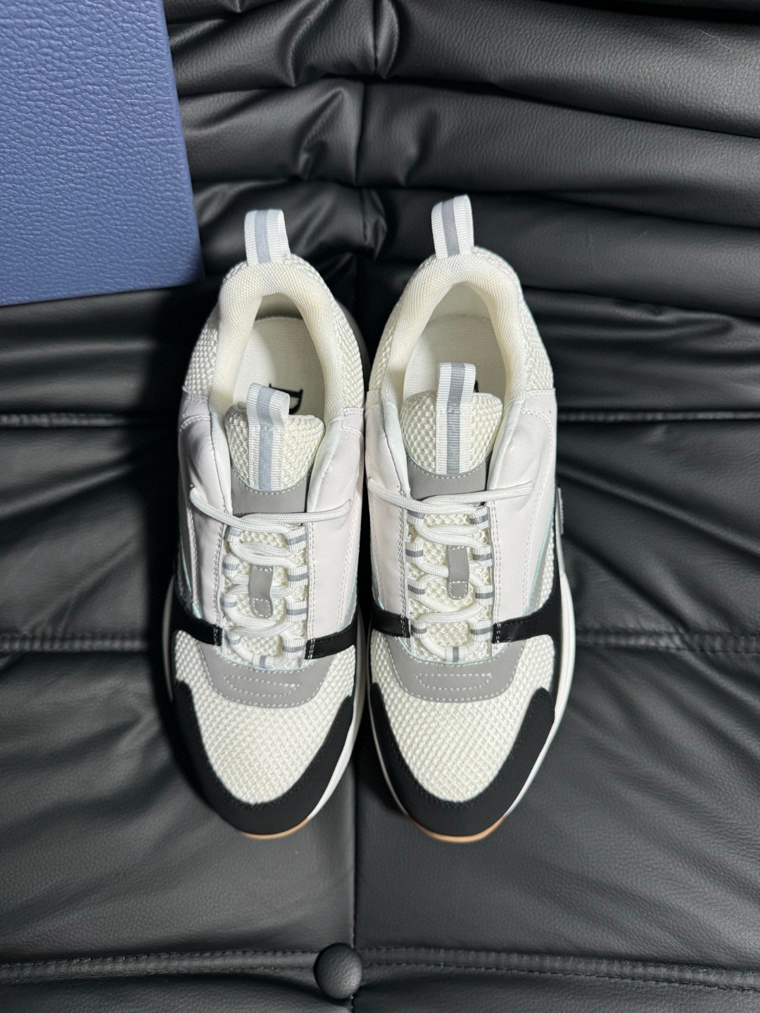 Dior Sneakers-2