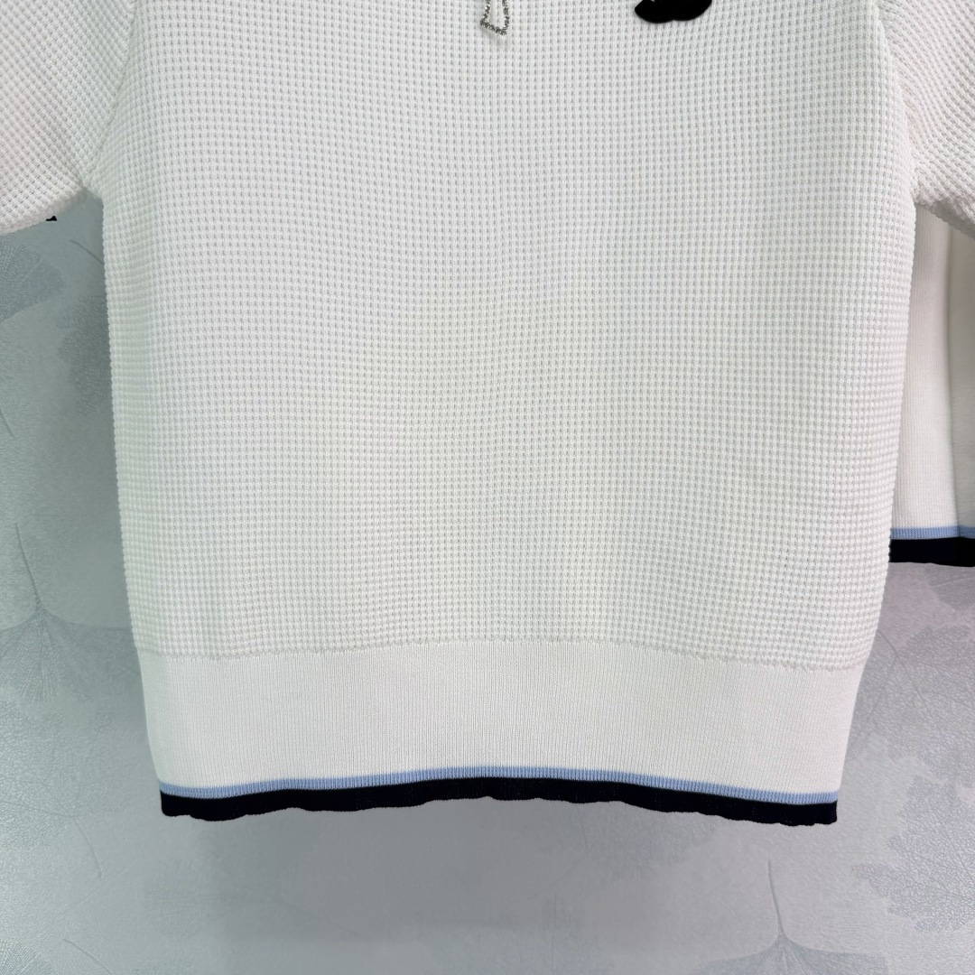 Chanel Clothing-133