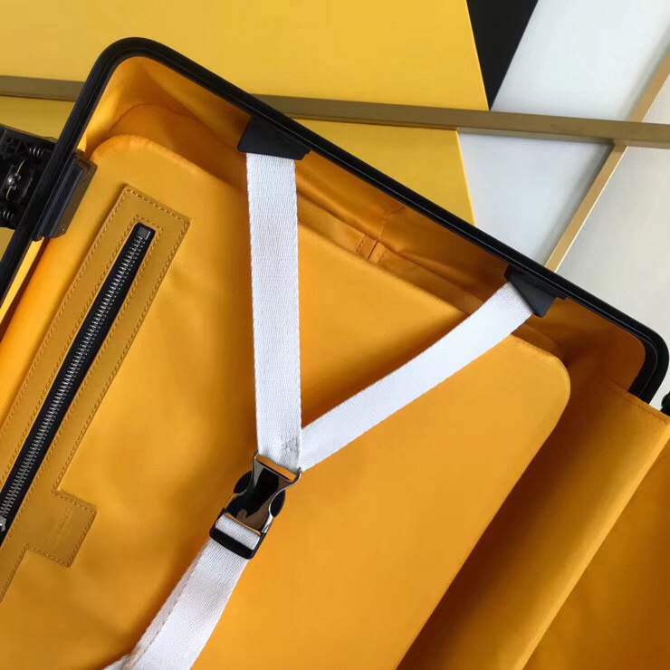 Goyard luggage-50