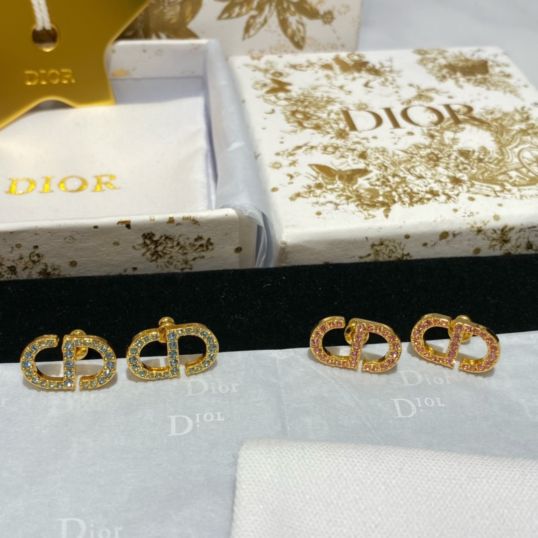 Dior earrings-57