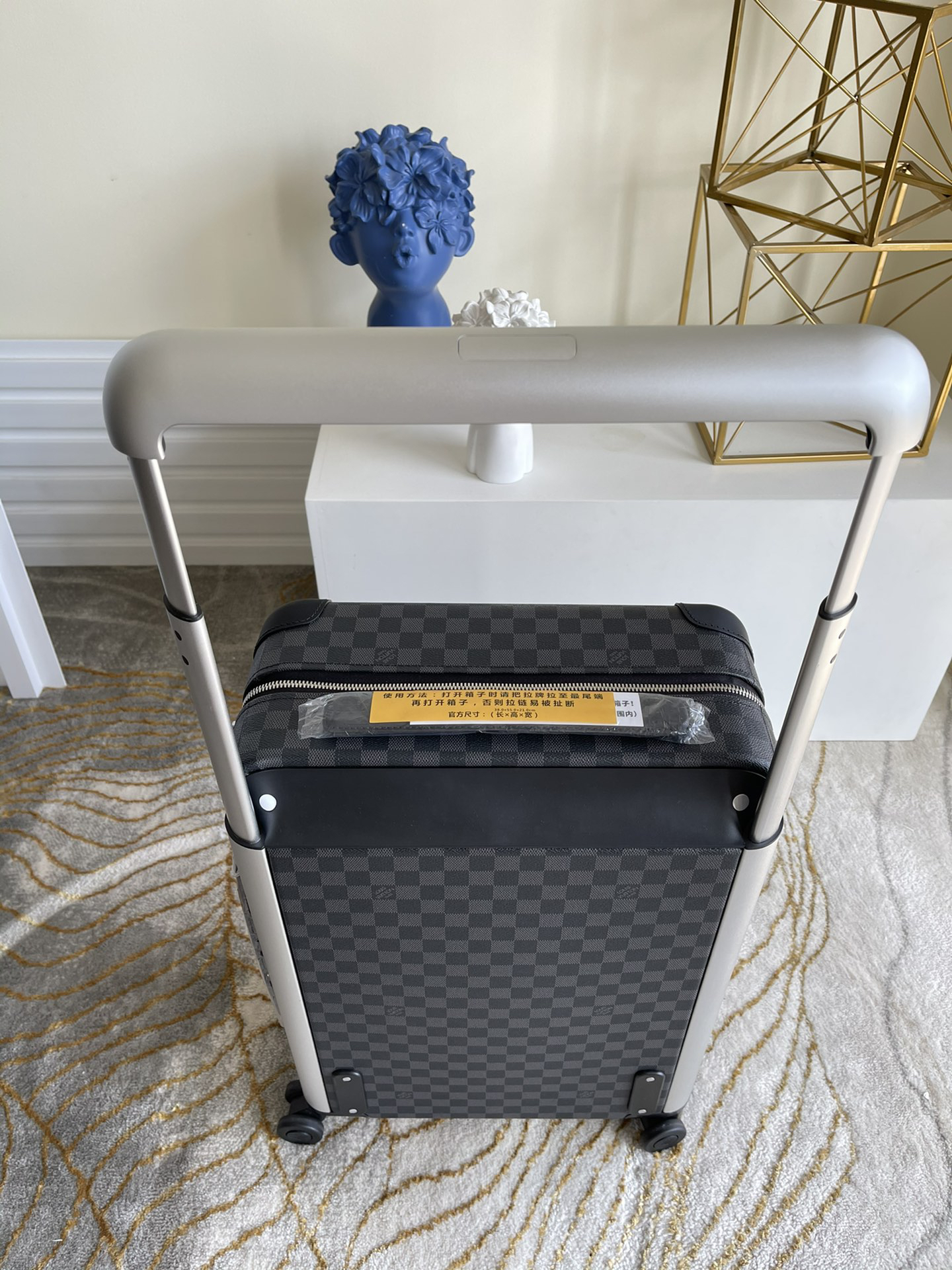 LV luggage-46