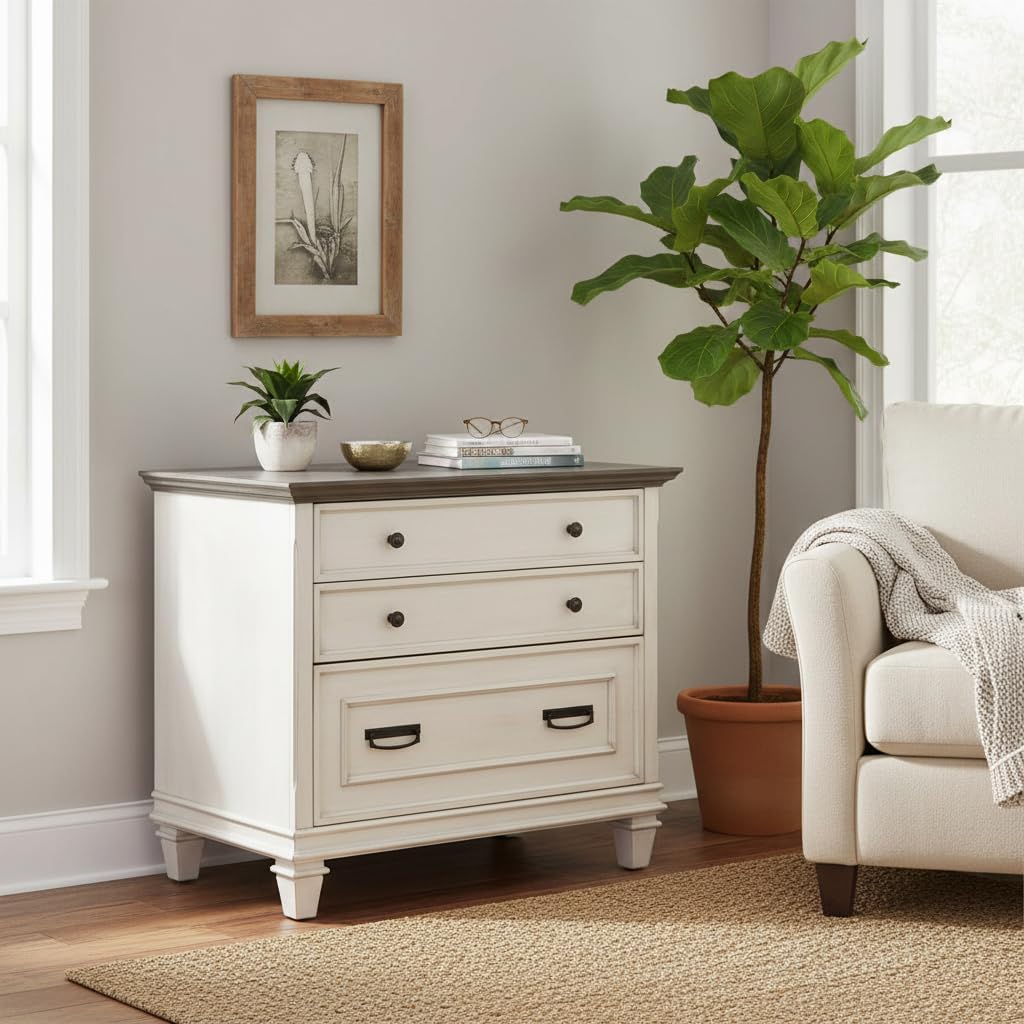 Ashford & Sons Wood Lateral File Cabinet, 31