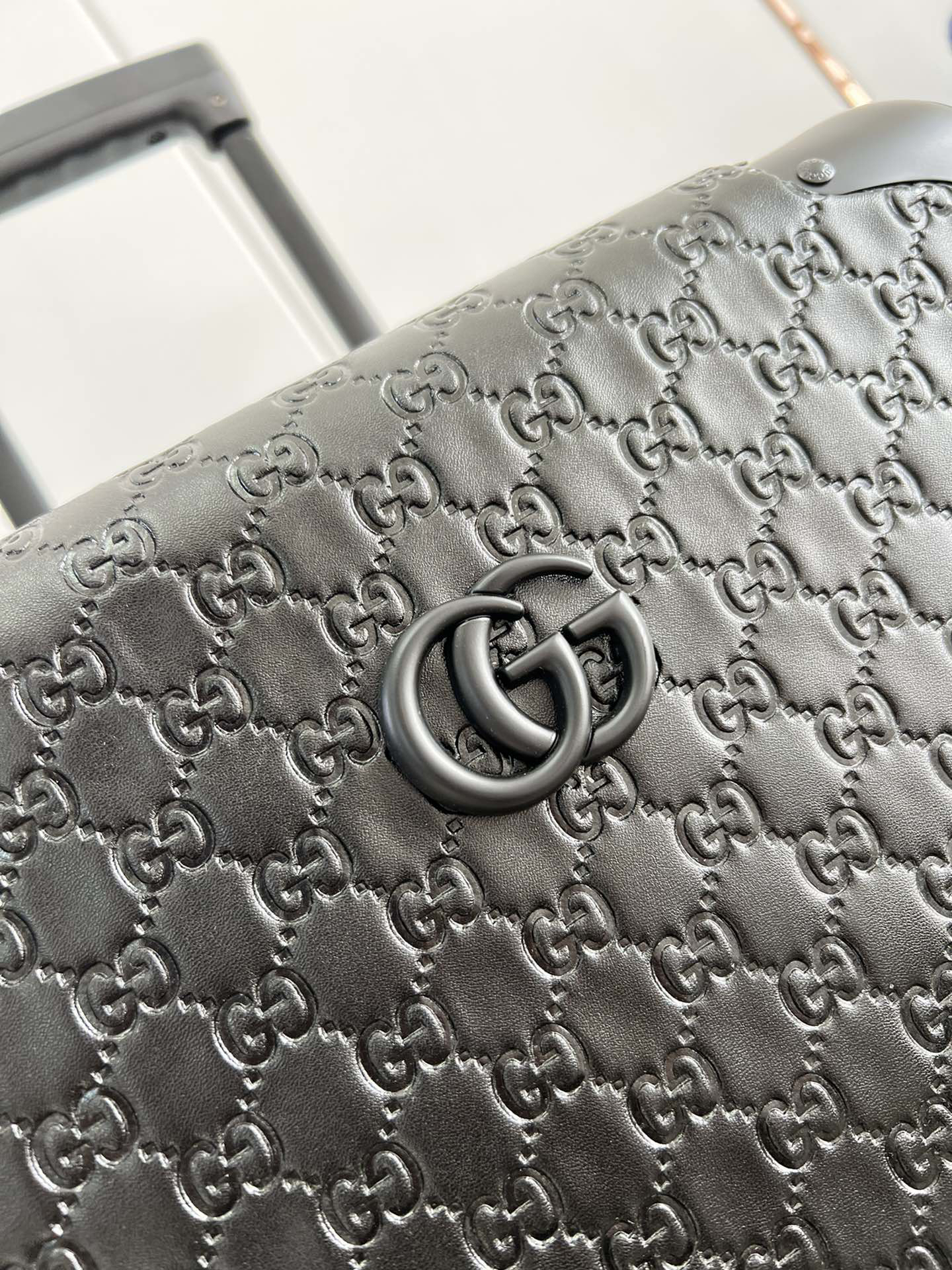 Gucci luggage-19