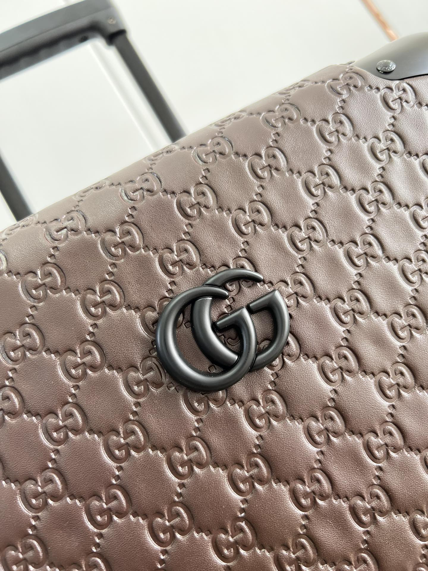 Gucci luggage-18