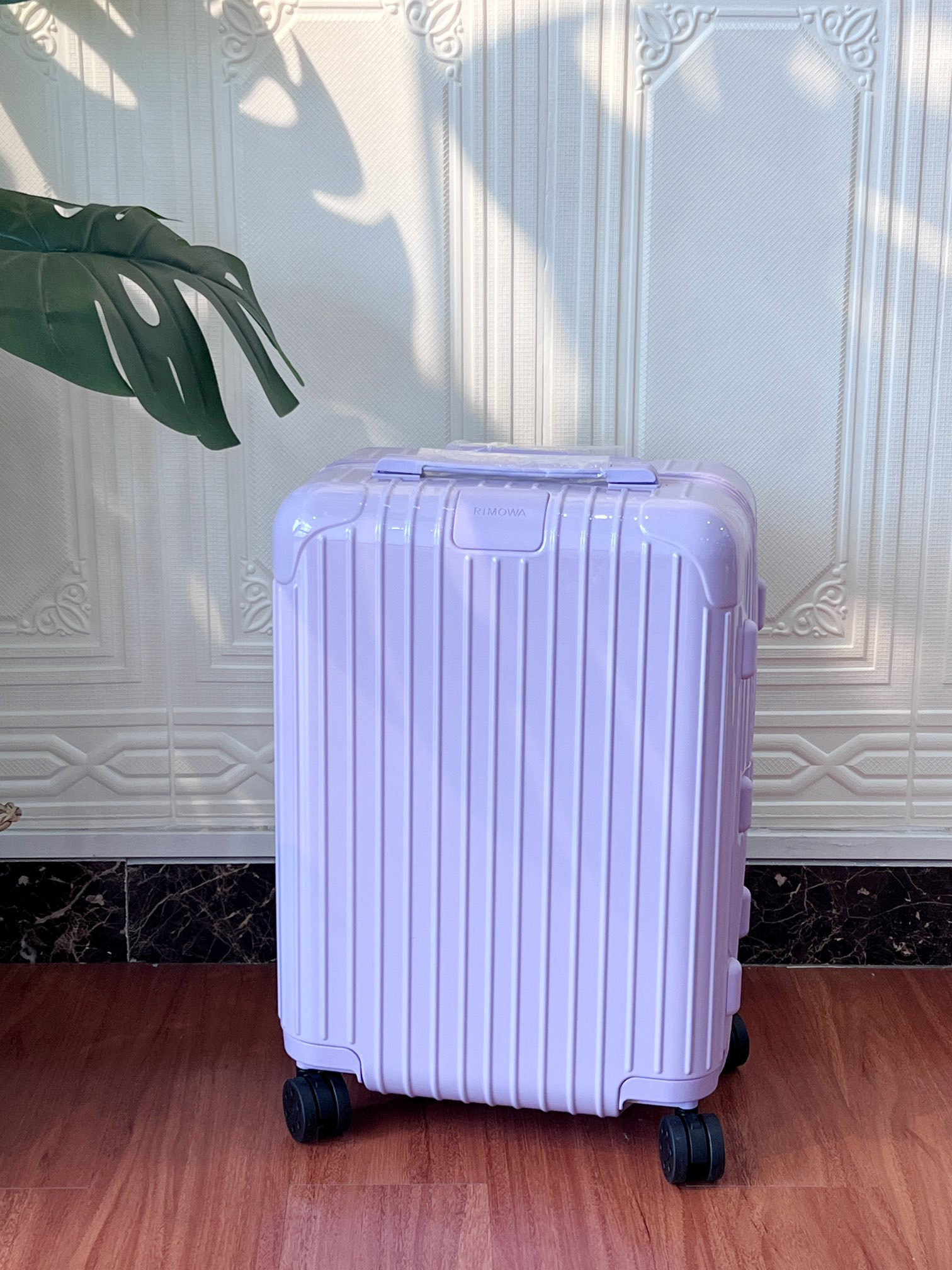 RIMOWA luggage-89