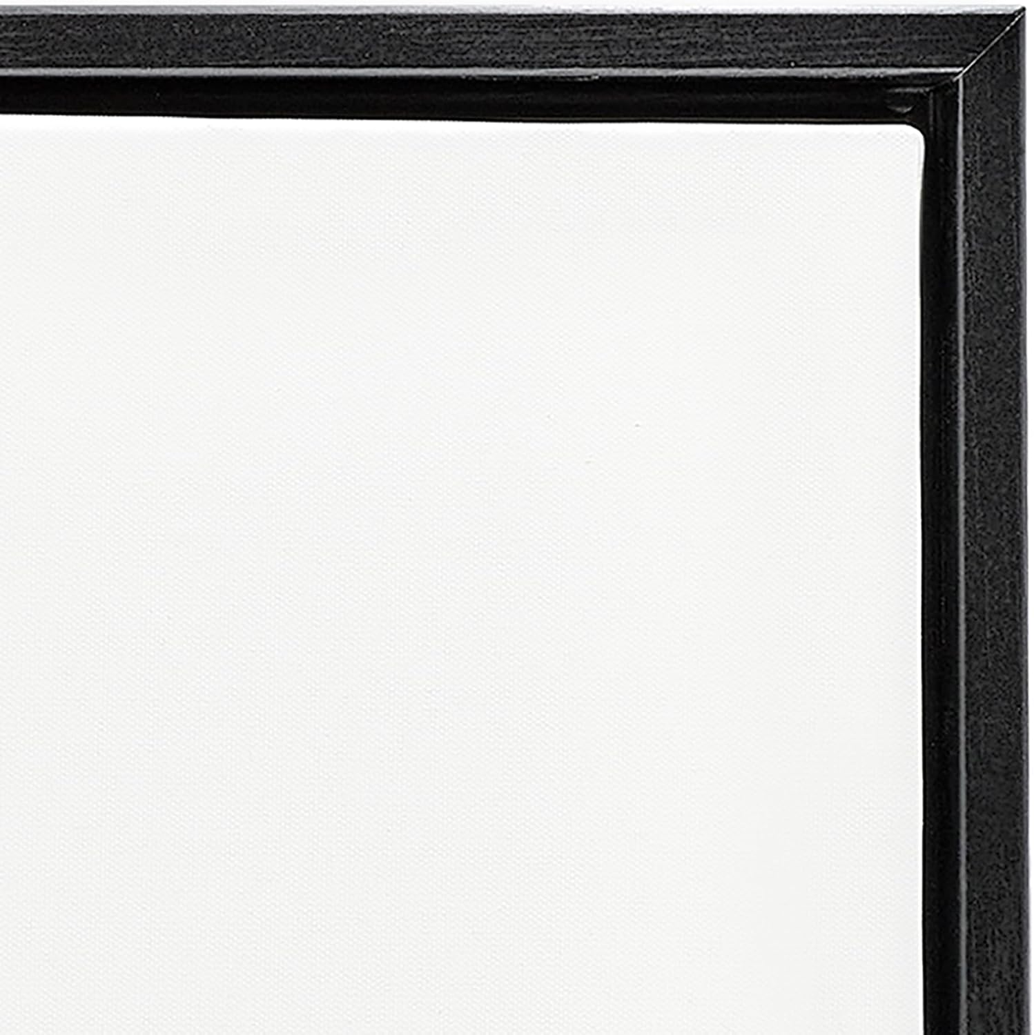 Stupell Industries 'Scientific Botanical Fern Drawing', Floating Frame Canvas Art, Black, 17 x 21 Inches, Easy to Hang and Sturdy, Made in USA, by Lettered and Lined