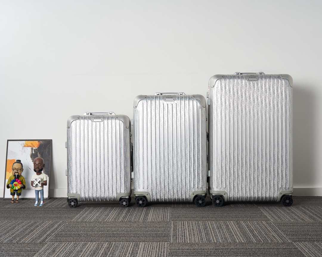 Dior luggage-9