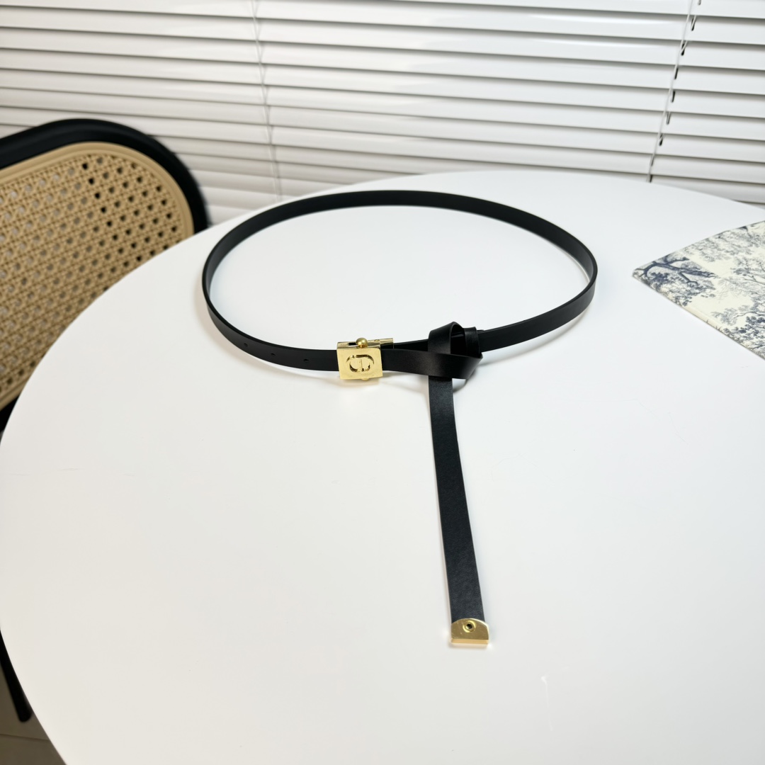 Dior belt-57