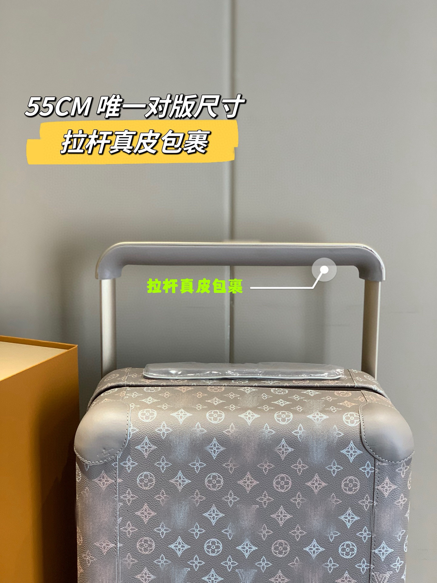 LV luggage-14