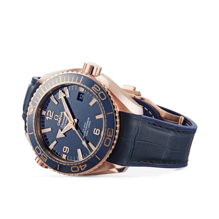 Seamaster Planet Ocean 600m Co-Axial 43.5mm Mens Watch
