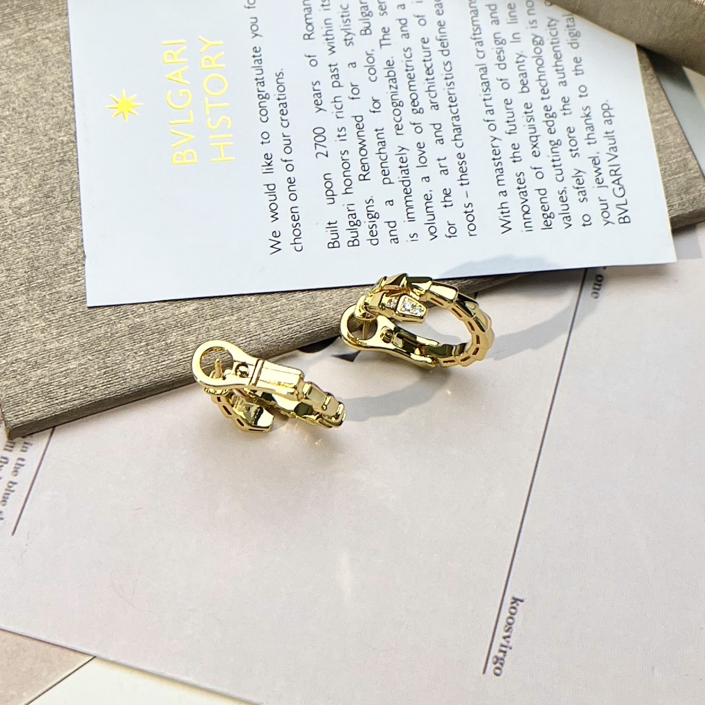 Bottega Veneta earrings-28