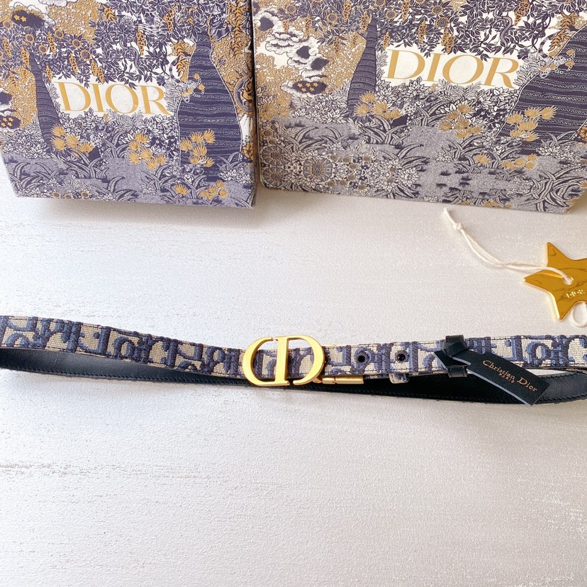 Dior belt-105