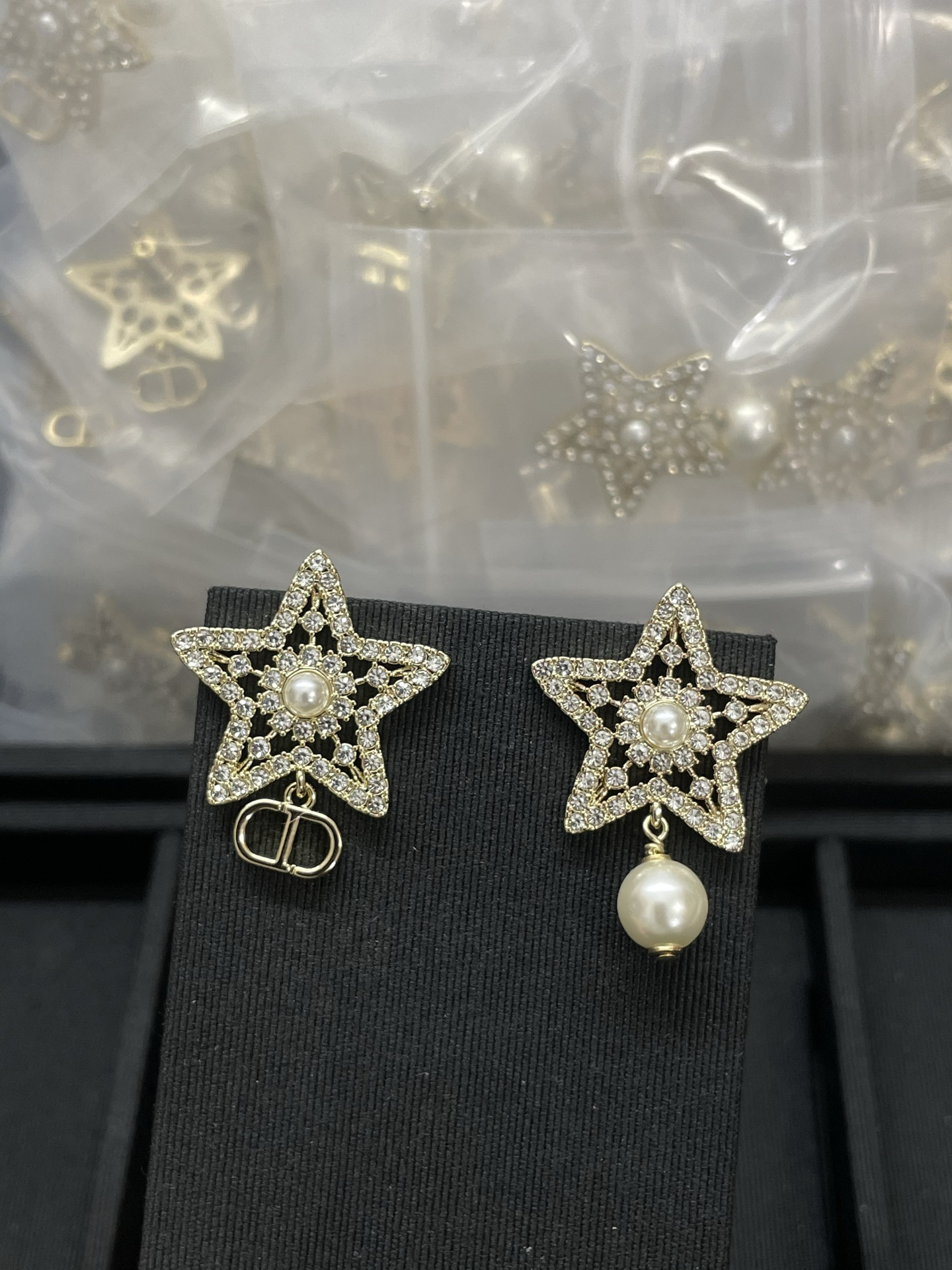 Dior earrings-70