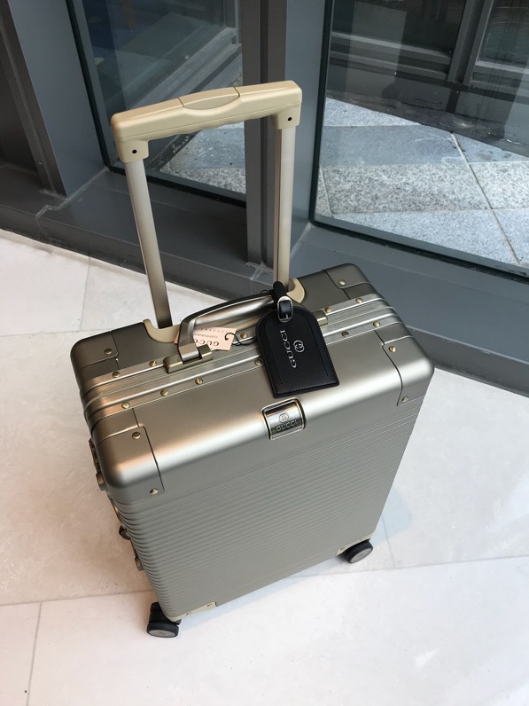 Gucci luggage-16