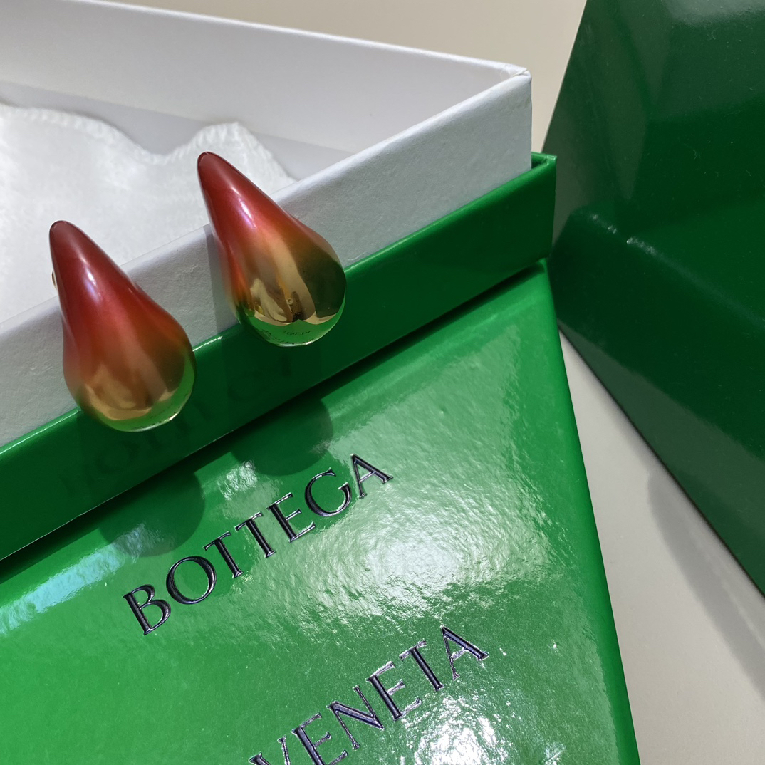 Bottega Veneta earrings-15