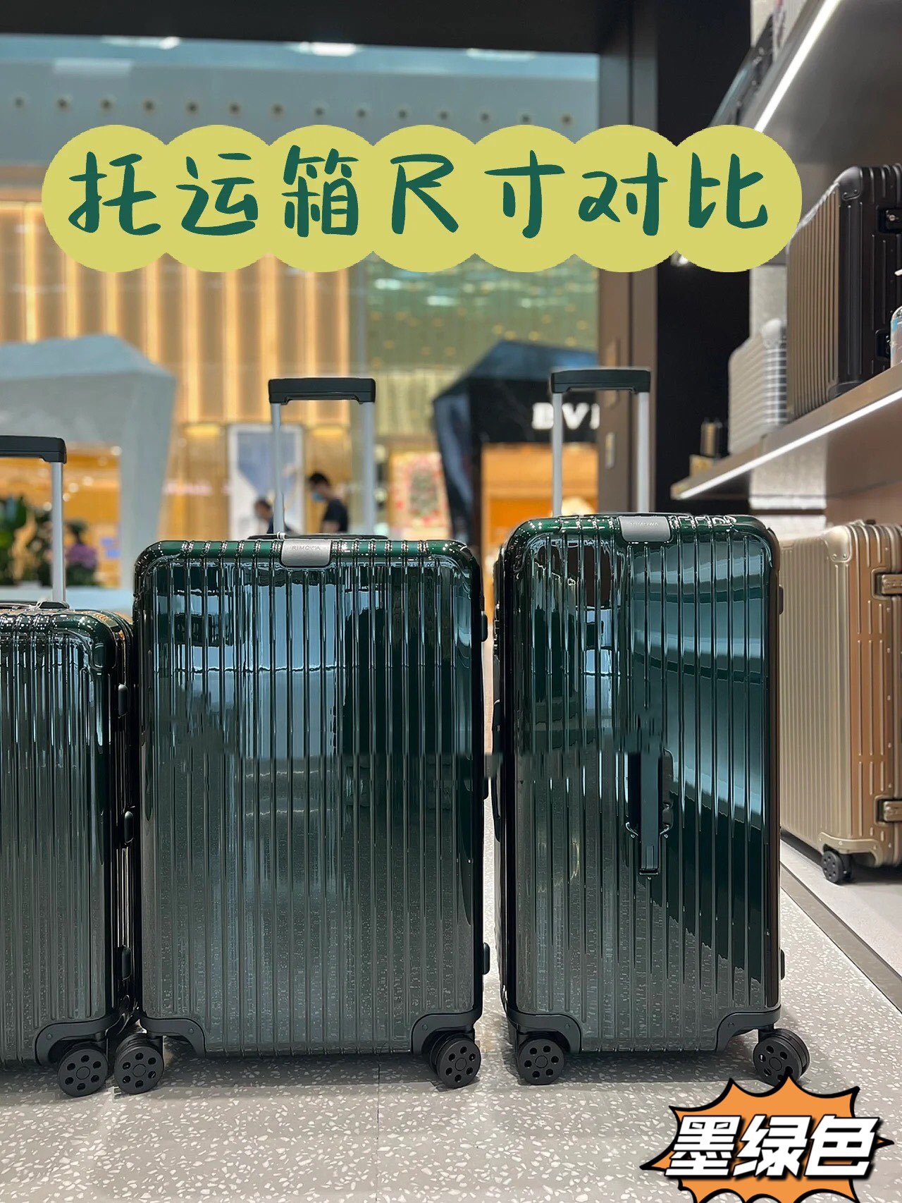 RIMOWA luggage-92