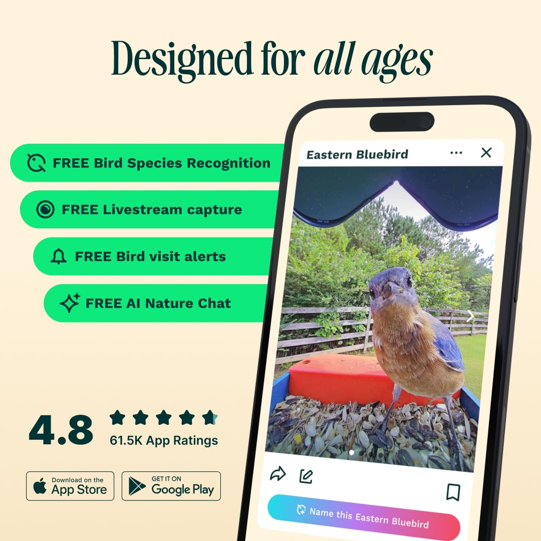 BIRD BUDDY Birdbuddy PRO Solar Smart Bird Feeder with Camera