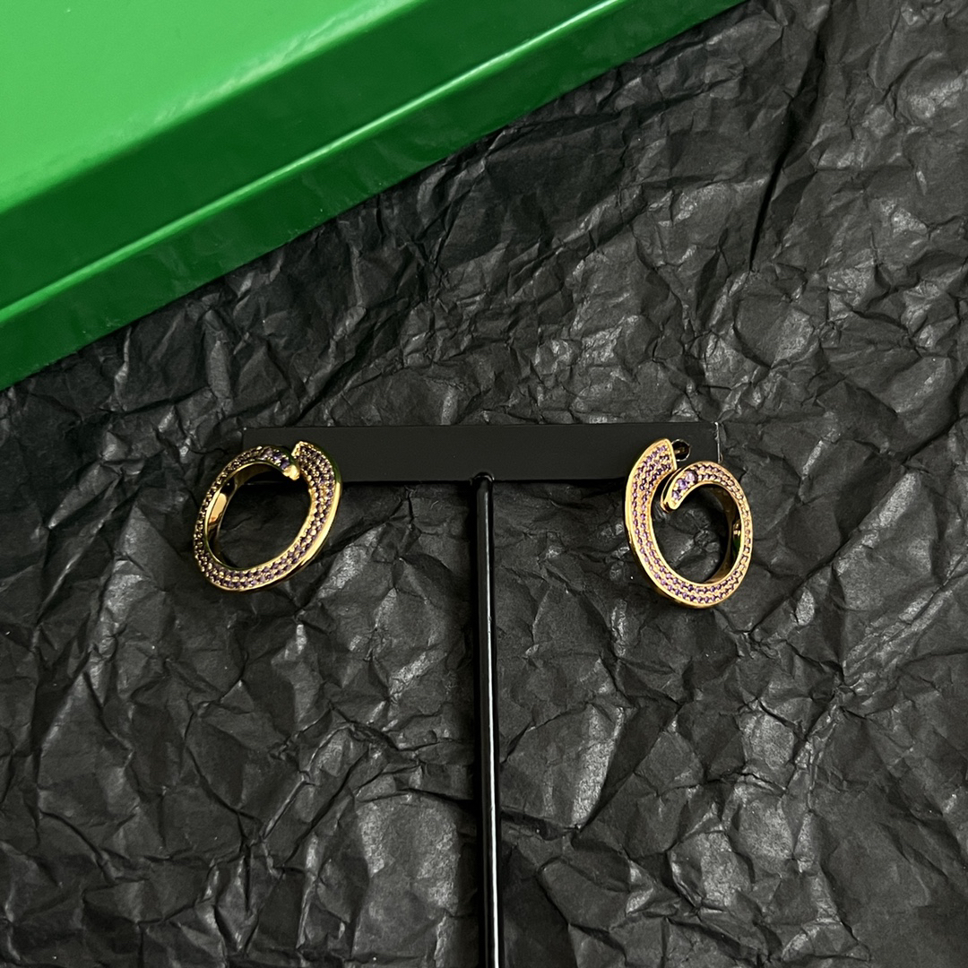 Bottega Veneta earrings-4