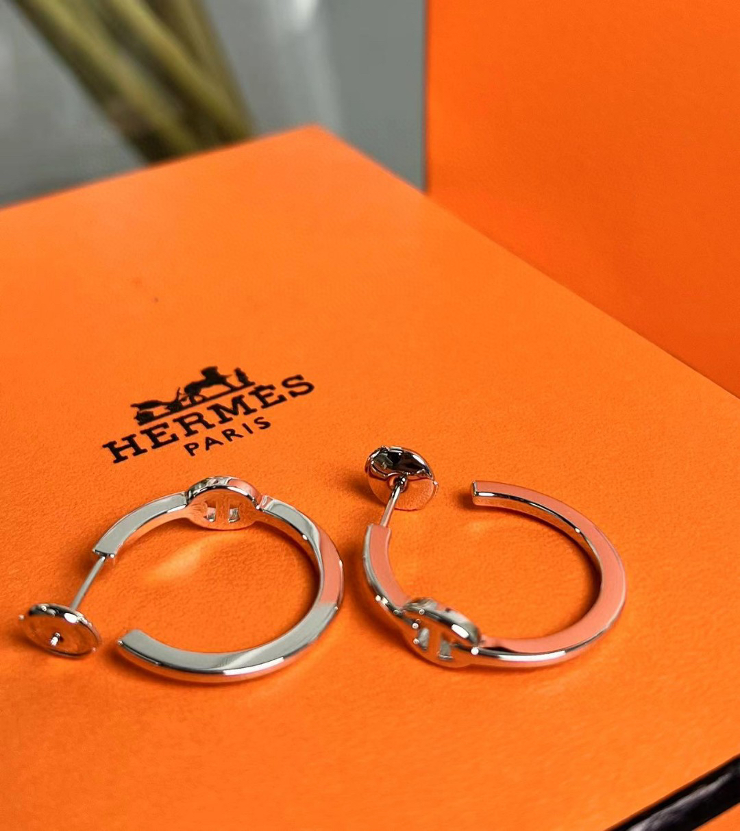 Hermes earrings-61
