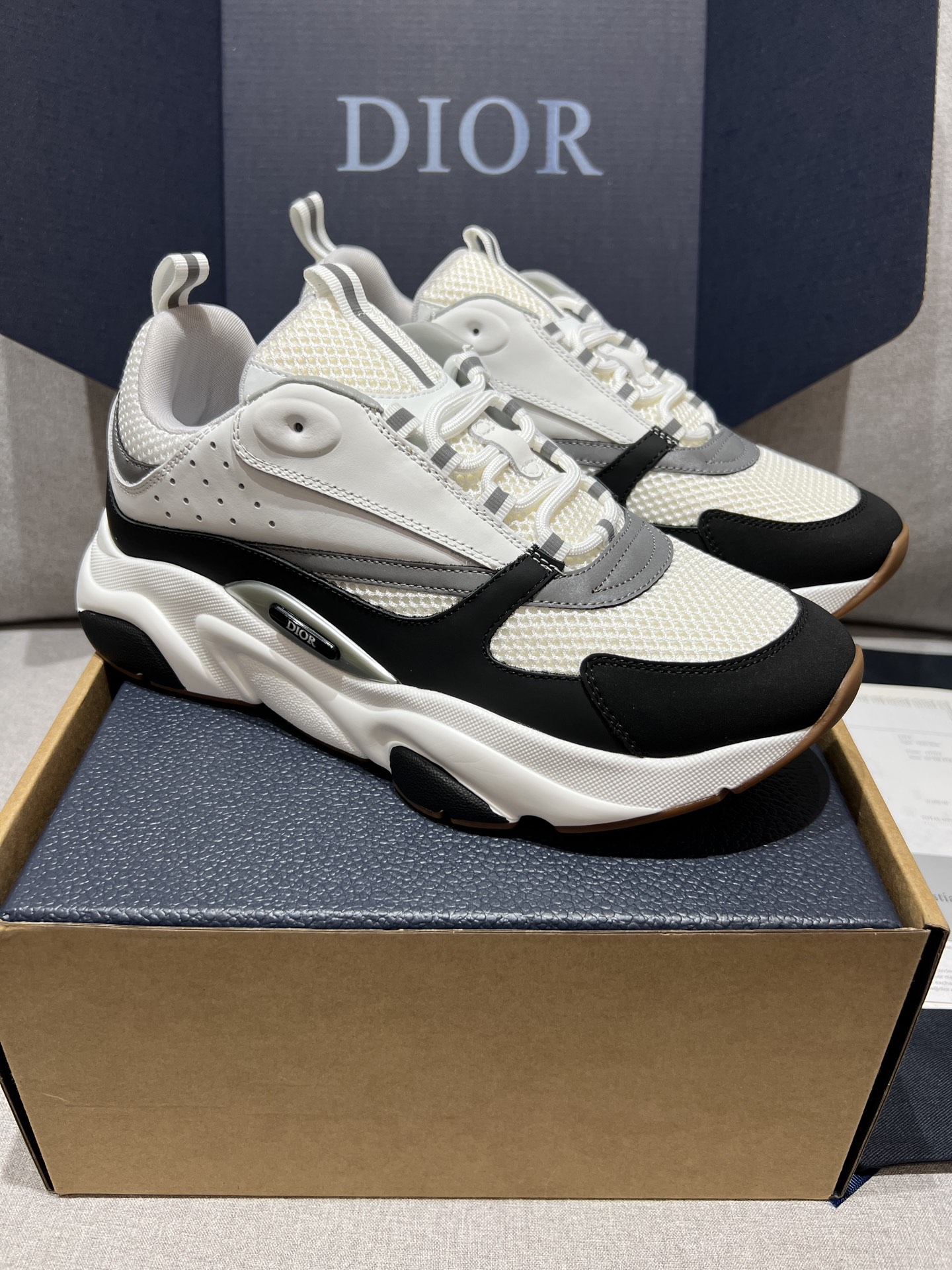 Dior Sneakers-4