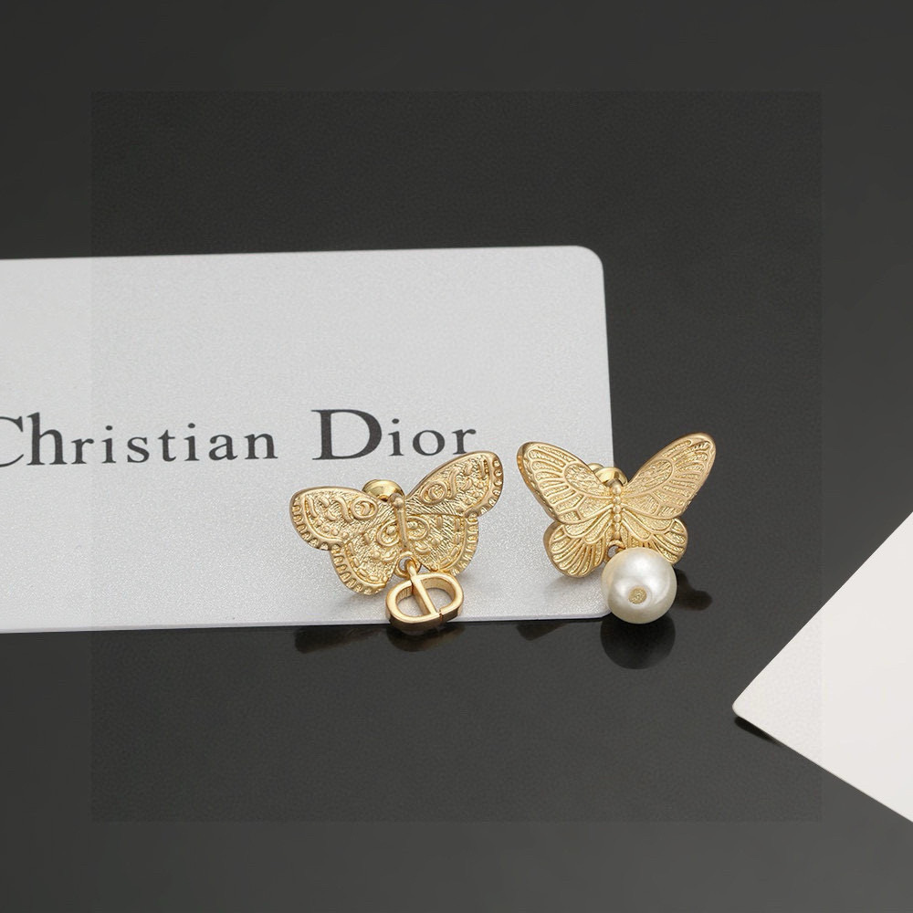 Dior earrings-60