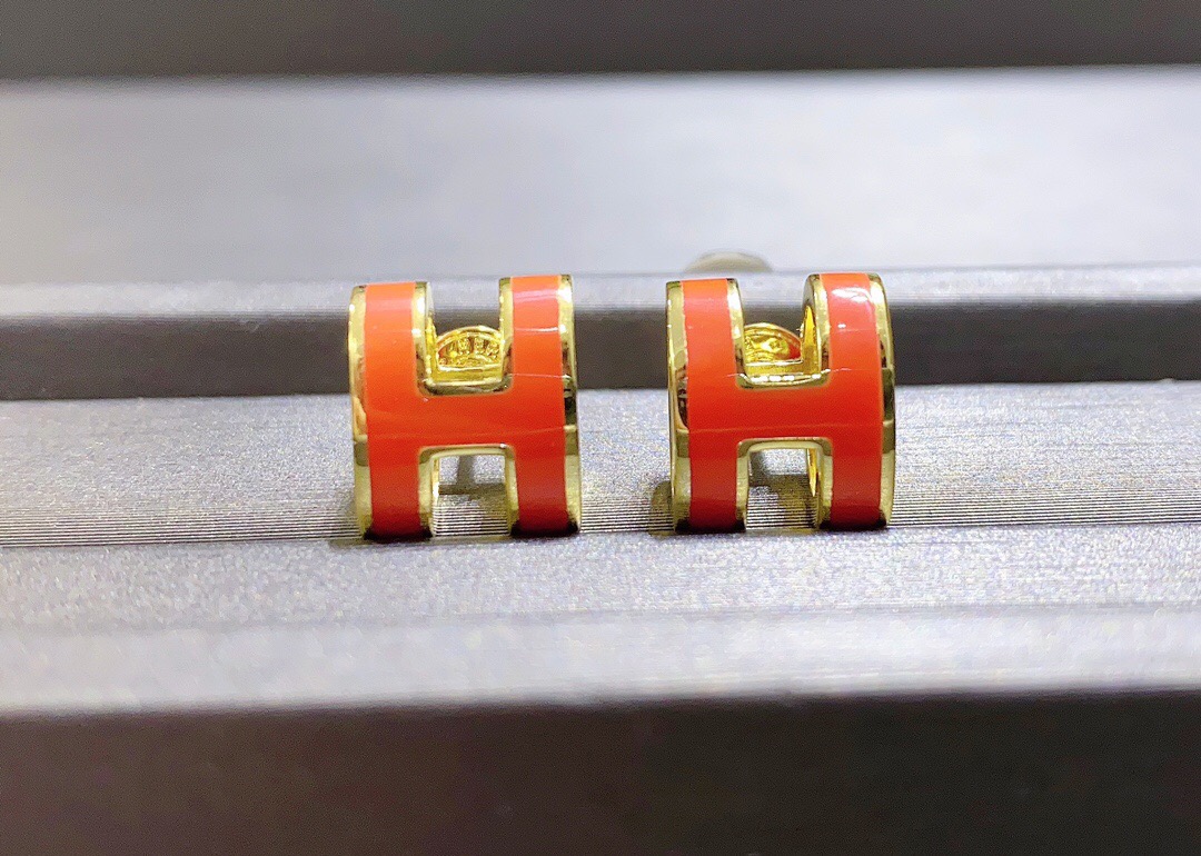 Hermes earrings-19