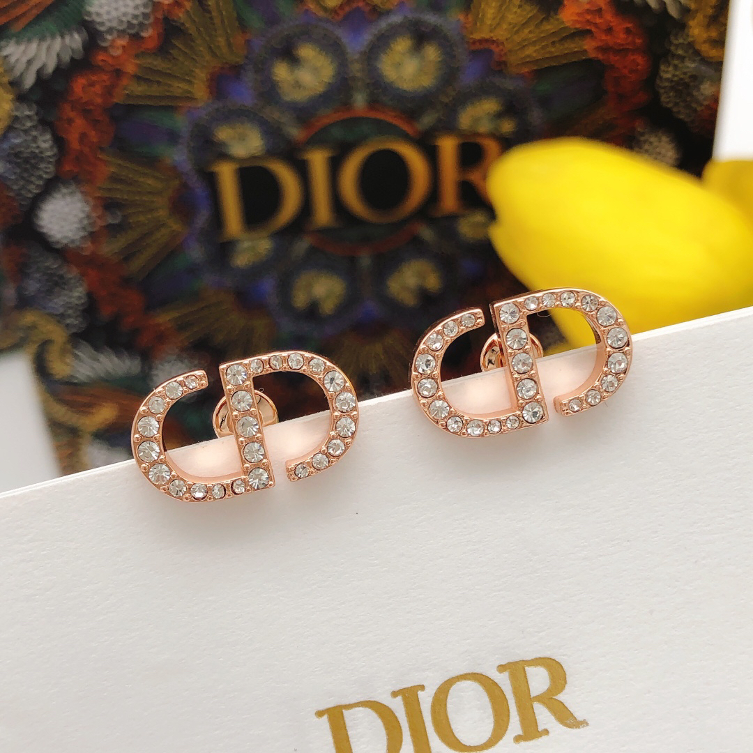 Dior earrings-90