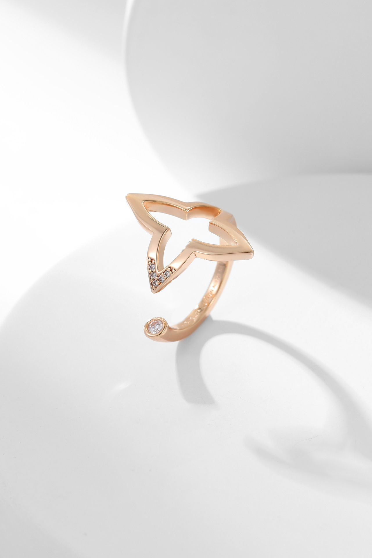 LV ring-17