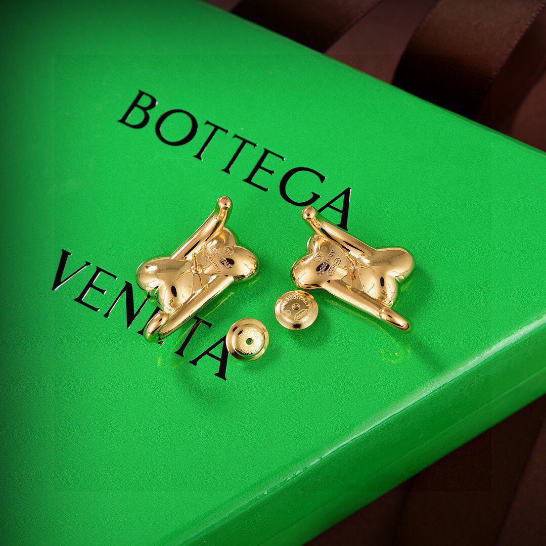 Bottega Veneta earrings-55