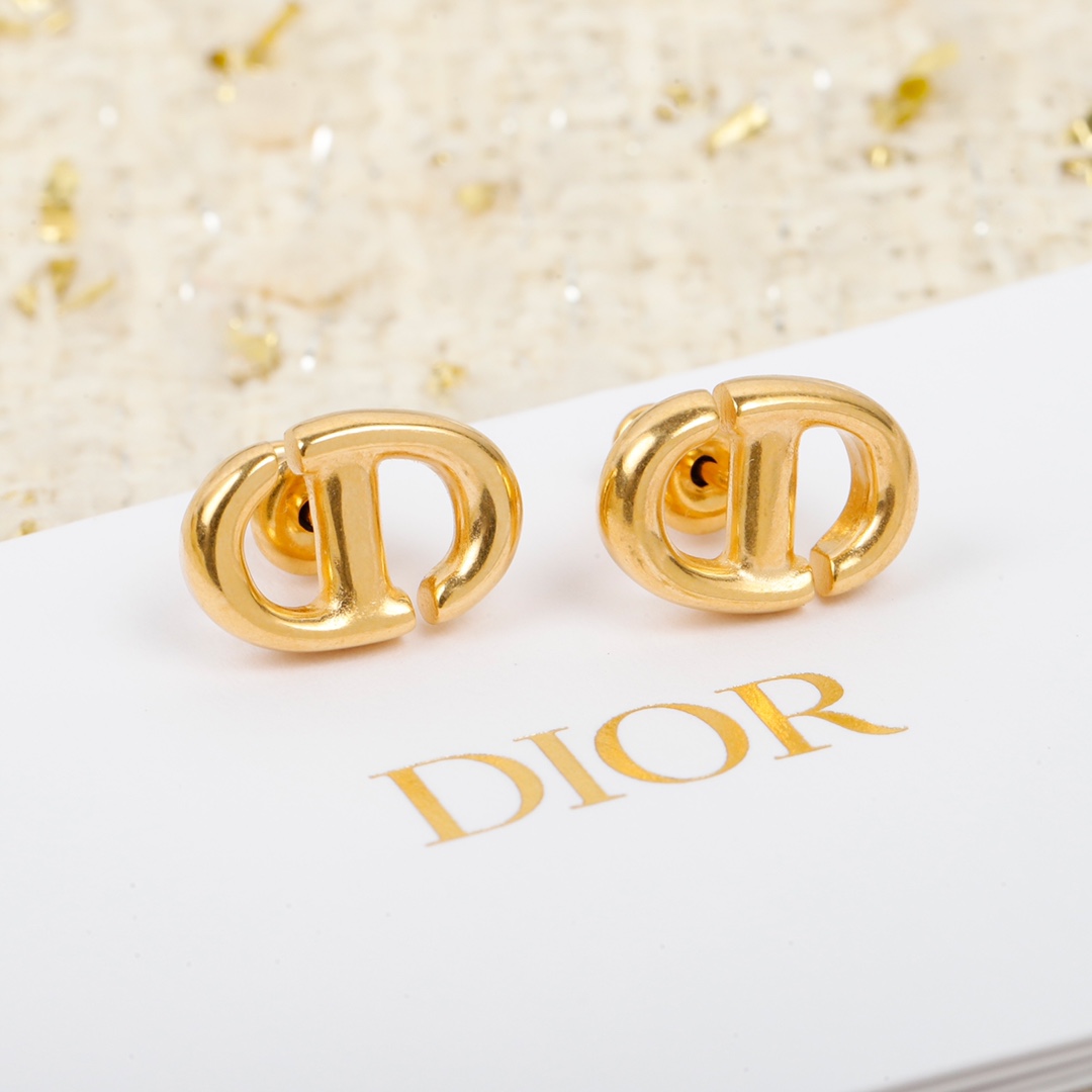 Dior earrings-45