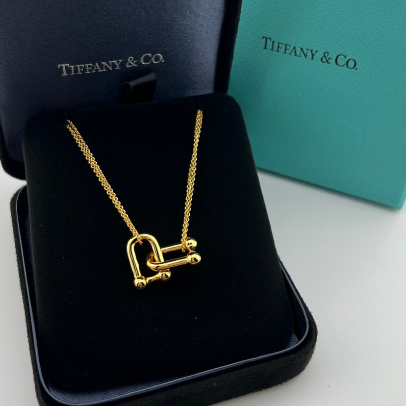 tiffany necklace-45