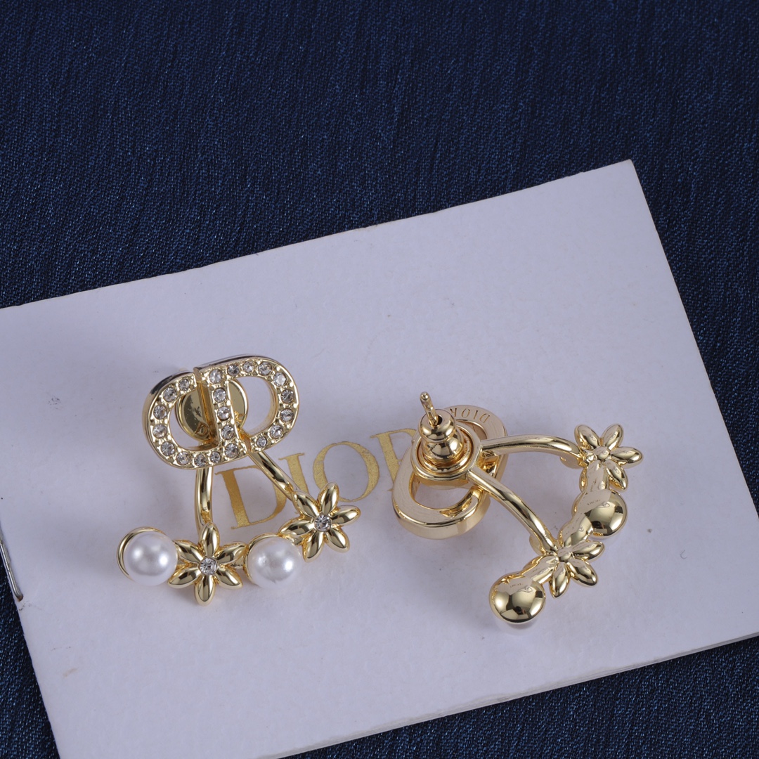 Dior earrings-50