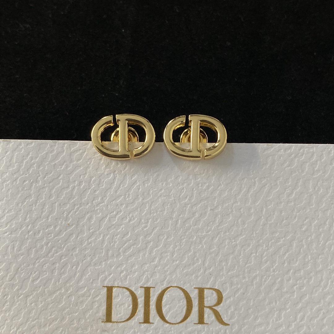 Dior earrings-42