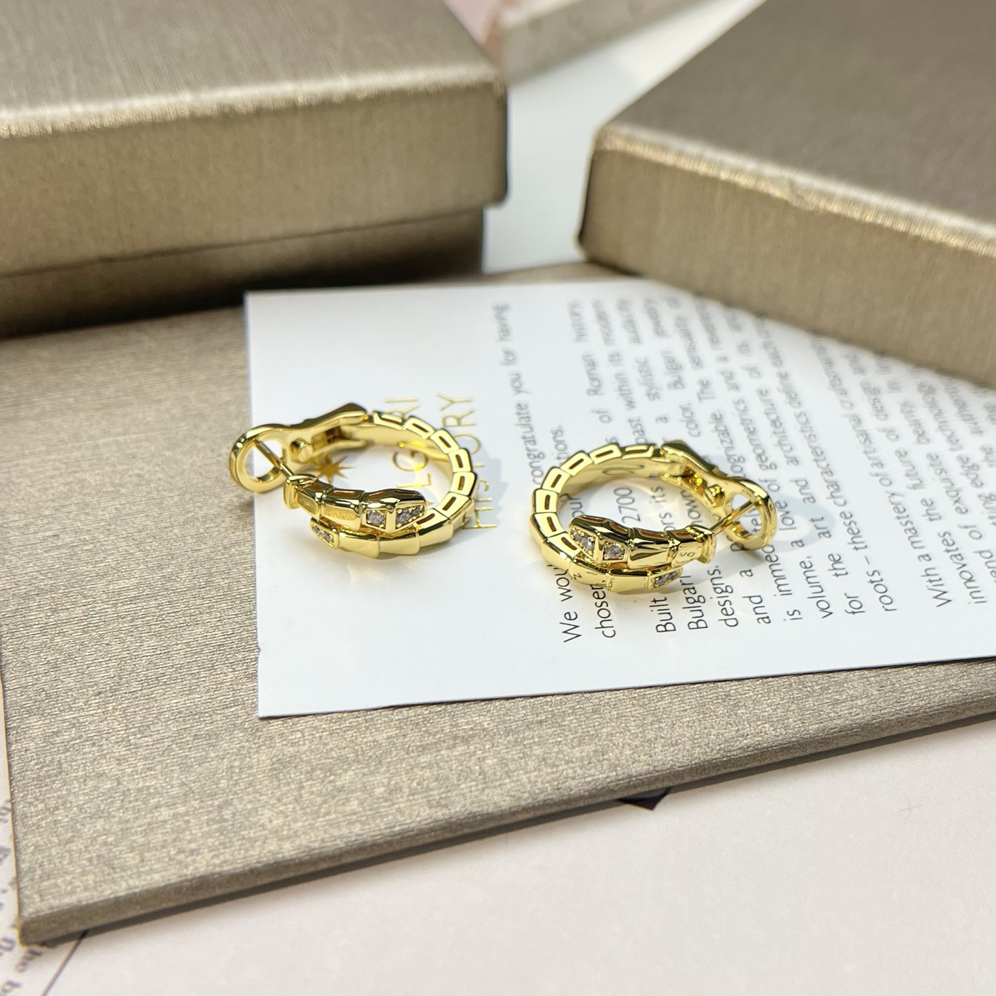 Bottega Veneta earrings-28