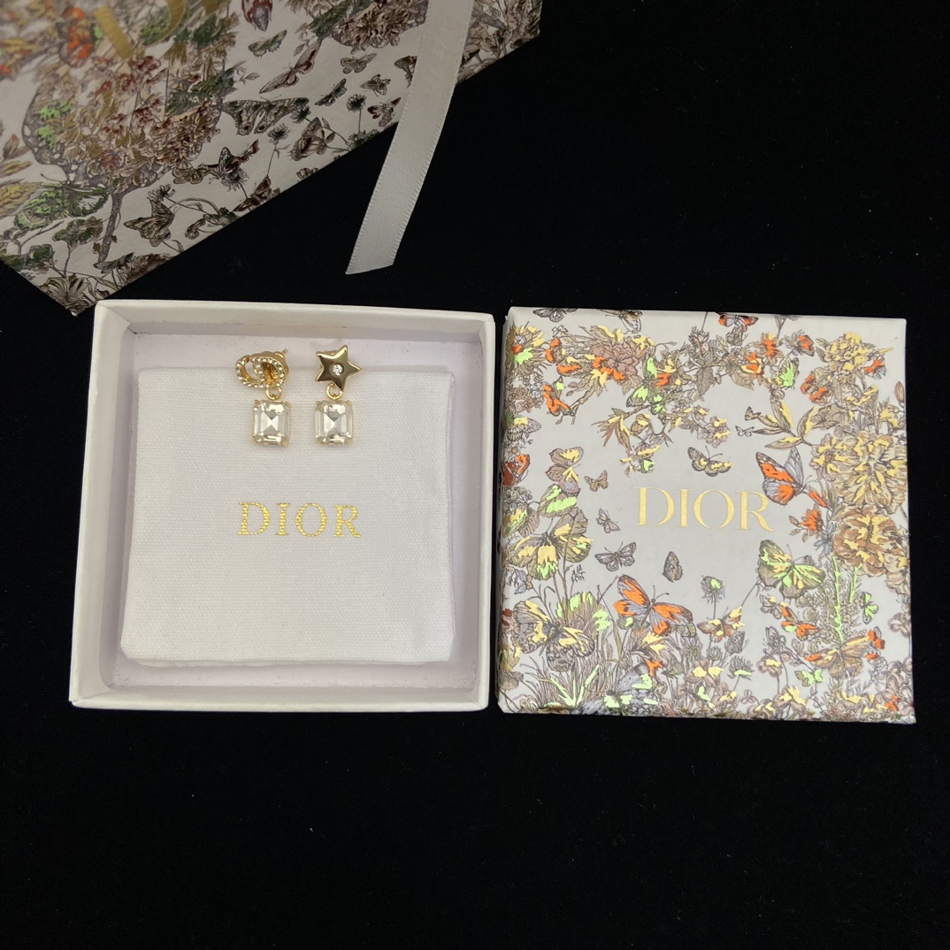Dior earrings-48